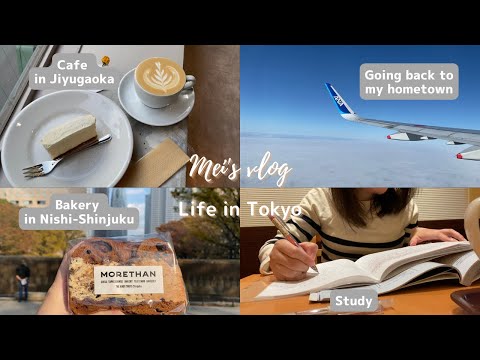 (Sub)Tokyo Vlog｜The Bakery in Nishi-Shinjuku, The Cafes in Jiyugaoka and Nakameguro, My Hometown