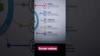 Agile scrum values