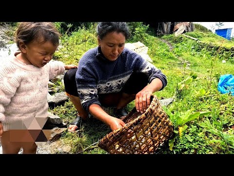 "Tuwa" found only in the rural Himalayan regions of eastern Nepal. Nepali village daily lifestyle