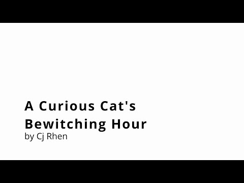 A Curious Cat's Bewitching Hour