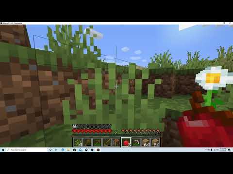 Minecraft Hardcore Day 1 Gameplay No commentary