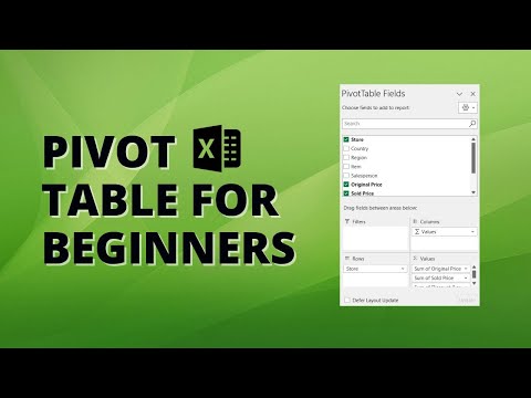 Excel Pivot Table - Basics