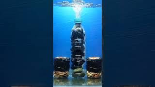 Bio filter for fish tank DIY | Aquarium filter DIY