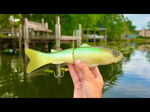 I Caught A Giant Fish On My Biggest Lure