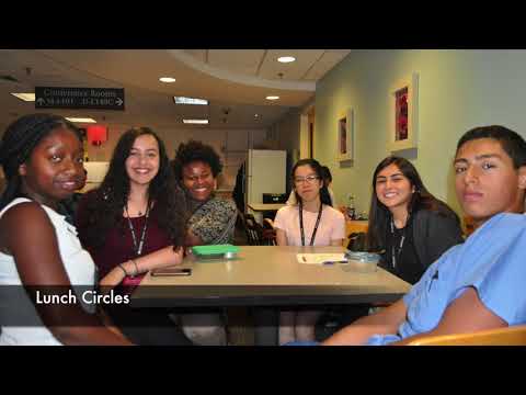 Dana-Farber Workforce Development Summer Jobs Program 2017