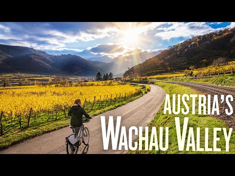 Biking through vineyards & scenic riverside towns | 4K Trip Review