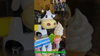 JAPAN IS LIVING IN THE FUTURE 😱