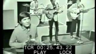 Wayne Fontana & The Mindbenders - Just A Little Bit Too Late (Live)