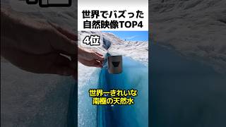 Top 4 nature videos that went viral around the world