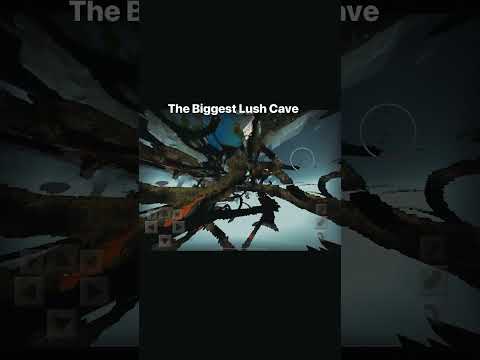 Big lush cave