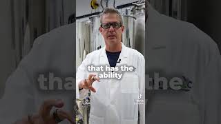 REBOOT your BRAIN #rememberwithease #brainpower #neuronourishment #memoryboost #cognitivewellness