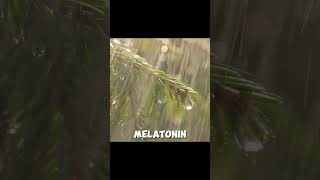 The Importance of Sleep for Seniors | Senior Wisdom