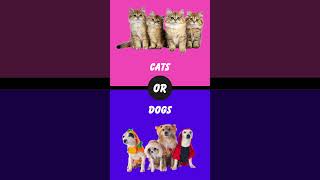 Cats Or Dogs 🥵 🔥 #quiz #quiztime #quizchallenge #guess #quizlovers