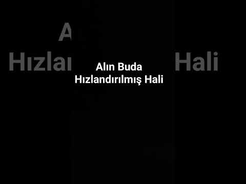 3X Hali