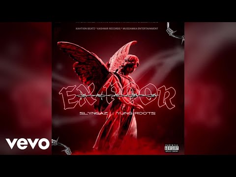 Slyngaz, Yung Roots - ExPoor (Official Audio)