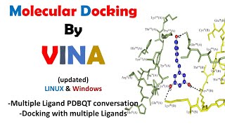 Molecular Docking VINA | Script Based Method | Multiple Ligand Docking
