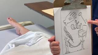 NIH STROKE SCALE:  9 BEST LANGUAGE