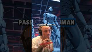 AI Just Passed the Turing Test – What Happens Next? Joe Rogan Experience