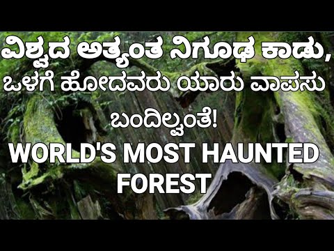 ವಿಶ್ವದ ಅತ್ಯಂತ ನಿಗೂಢ ಕಾಡು, #HoiaBaciu# forest, most mysterious place