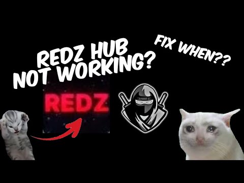 REDZ HUB BLOXFRUITS SCRIPT- not working..?