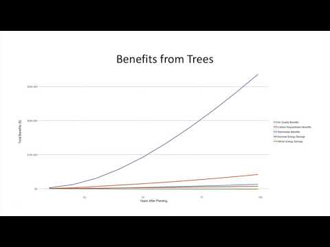 Ault Elderbrock Env Data Visualization Final Project