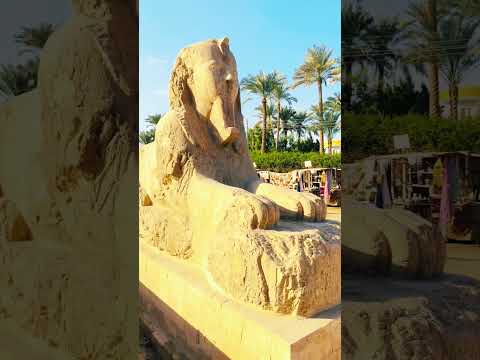 Walking Through History in Egypt!🚶‍♂️ #TravelShorts #egypt #pyramid #sphynx #travel #exploreegypt