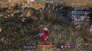 New World Nysa Bot/Macro/Script Player. Name: HOSHANG123