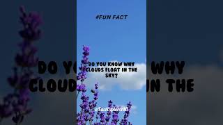 Why Do Clouds Float? Explained with a Fun Fact.