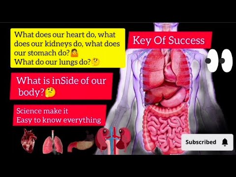 Our Inner Oranges / Science Video / Human Parts Of Body/ Key Of Success