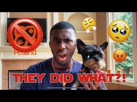 Why You Should Never Go To This Pet Store