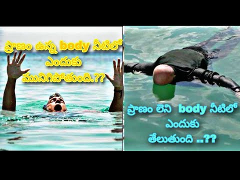 why living person sinks? and why dead body floats on water? #viral #ytviralvideo #subscribe