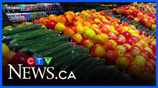 Shoppers say grocery rebate not enough for affordability