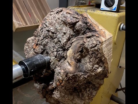Maple Burl Transformation Into Rustic Beauty