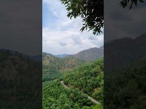 The best view  comes after the  hardest  climb...#youtubeshorts #shorts #ytshorts