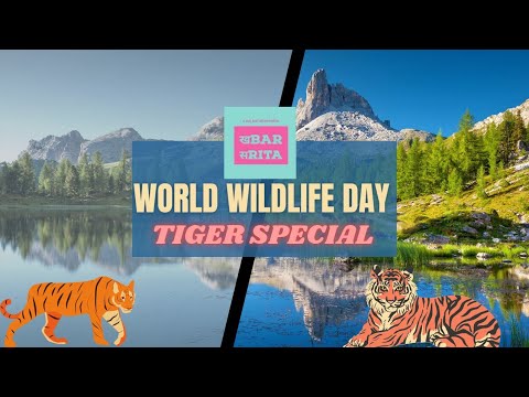 World wildlife day special :situation of tigers|bad future of wildlife in India |tiger reserve area