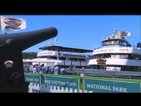 San Francisco City Tour |Alcatraz Island | Muir Woods Park |SF Bay Cruise| Night Tour
