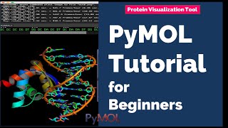 Protein Visualization Tool | PyMOL Tutorial for Beginners