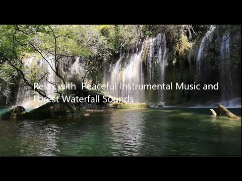 Beautiful Relaxing Music with Forest and Waterfall Sounds for Stress Relief and Deep Focus