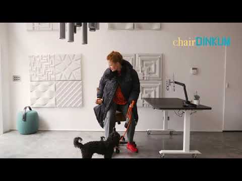 Chair Dinkum's HAG Capisco - The Ergonomic Chair of the future