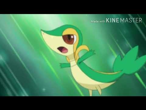 Ash all Grass type Pokemon ranking Explain in hindi