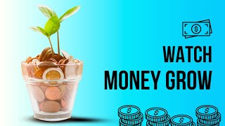 Watch Money Grow: Power of Compound Interest Explained