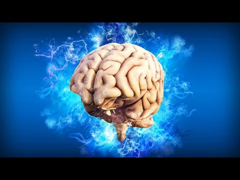 15 Fascinating Facts about Human Brain