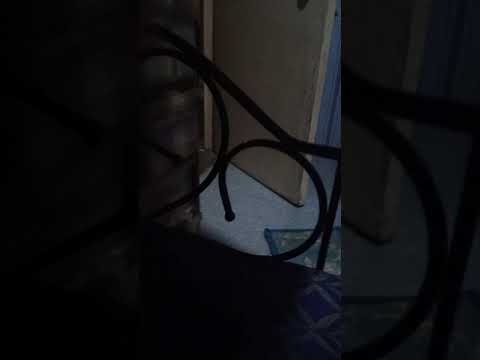 of you hi hollo
