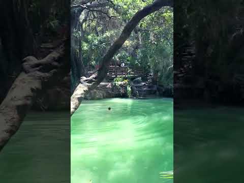 This Florida Spring Feels Like a Secret Paradise.