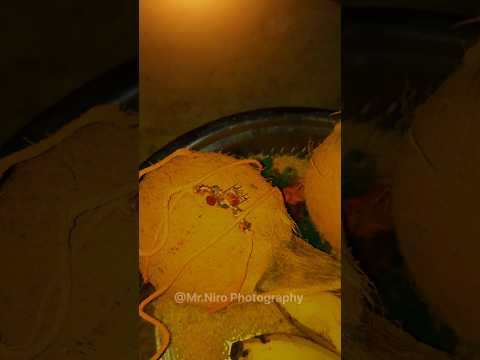 Satheesh ❣️ Kasthuri wedding @mr.niro  #shorts #wedding #tamilwedding #weddingphotography #marriage