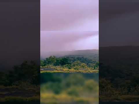 Sanjay Gandhi National Park | Kanheri Cave Mumbai #shorts #nature