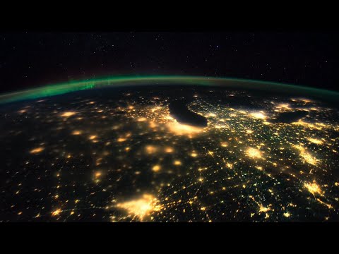 A Life on Our Planet - David Attenborough's witness statement
