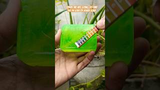 Khadi Natural Aloevera Soap pH Test #Shorts #shortvideo #ytshorts #viralvideo #Whatif #if
