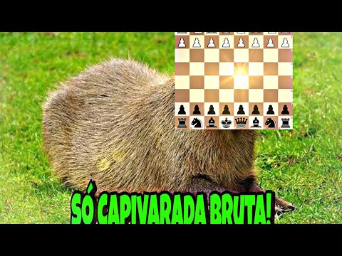 Capivarando no Xadrez de Inglesa-Siciliana (Xadrez Zueira)!