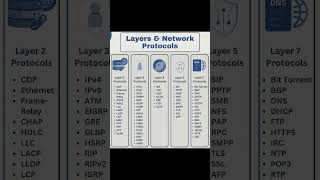 Layers And Network Protocol